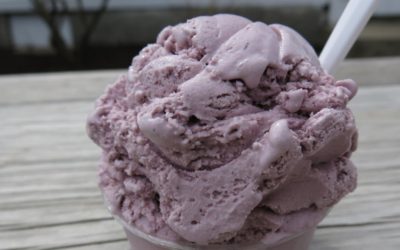 How Ice Cream Can Kill Your Agni~